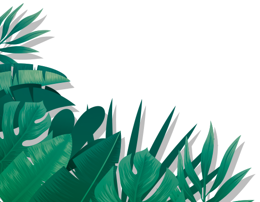palm-BL